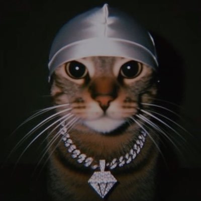 dibarel's profile picture. im SLEEPY #LakeTahoe