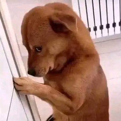 sane_ts3's profile picture. 🇬🇭 Ghana trends | 🔥 Hot gist | 💙 Chelsea fan