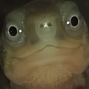 lyl02050's profile picture. Sibu第一帅