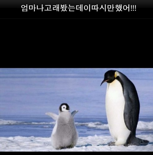 SniperRealfree's profile picture. 