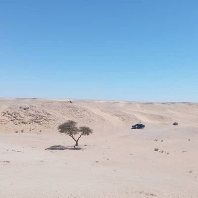 إن الحق سيظل حقاً وإن قل حوله المطالبين
وإن الباطل سيظل باطلا وإن كثر حوله المنافقين.