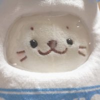 さく (@_sakuori_) 's Twitter Profile