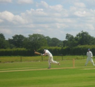 HarrryHorse's profile picture. 