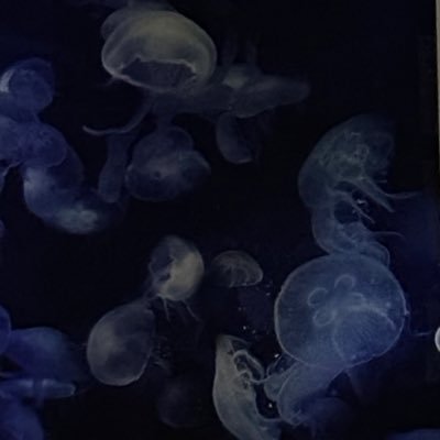 yoo_kiki93's profile picture. 