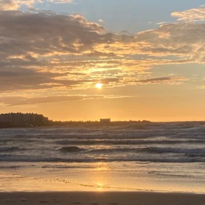 Carol Lutton Profile