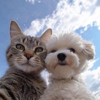𝐒𝐊𝐘 ʕ•ᴥ•ʔ (@katiekieu98) 's Twitter Profile Photo 𝐒𝐊𝐘 ʕ•ᴥ•ʔ (@katiekieu98) 's Twitter Profile Photo