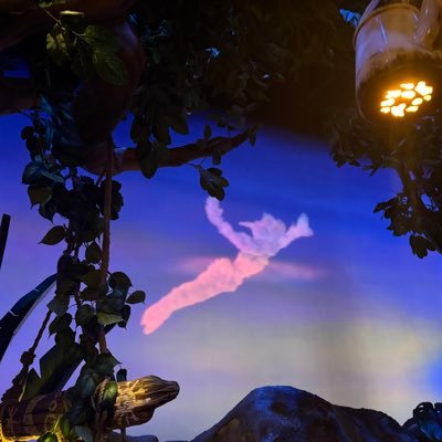 dumplingnanoda's profile picture. 