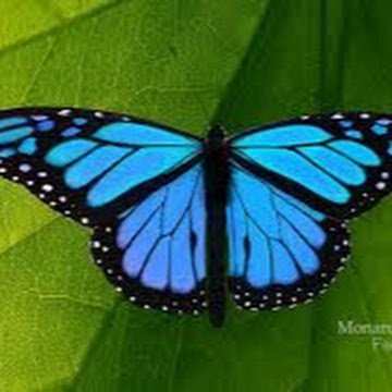 emmaolivia11743's profile picture. 18, obsessed w a lot of stuff
ENFP
💗💛💙