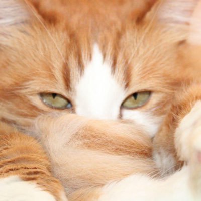 keniveran's profile picture. 🦋 Psp 🧠❤️