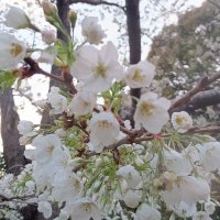 T (@tm35496306) 's Twitter Profile