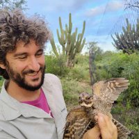 David Vergara (@davidlvergara) 's Twitter Profile