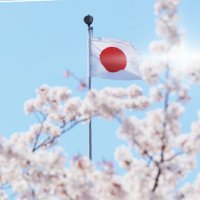日本を守りたい女子🌸 (@2023saishin_) 's Twitter Profile Photo 日本を守りたい女子🌸 (@2023saishin_) 's Twitter Profile Photo