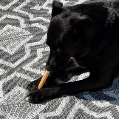 john55soz's profile picture. 