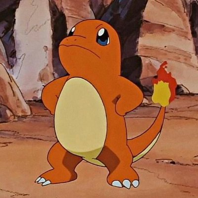 TheBurningTail's profile picture. Charmander's self-proclaimed #1 fan