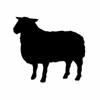 Shepherd Express (@shepherdexpress) 's Twitter Profile