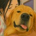 Whyshallee 🐾🐶🌻🍀 (@whyshalleee) Twitter profile photo Whyshallee 🐾🐶🌻🍀 (@whyshalleee) Twitter profile photo