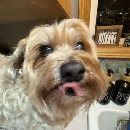 Coreyv999's profile picture. hi