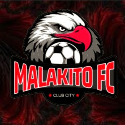 Equipo Clubes Pro FC25 (Capitán X @rebollo777_, ID Ps5 rebollo777).