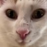 alamin_1812iy1's profile picture. #pixels