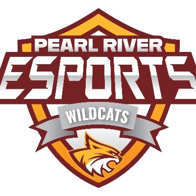 PRCCEsports's profile picture. 