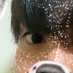 せん (@uemyl1ordp35027) Twitter profile photo せん (@uemyl1ordp35027) Twitter profile photo