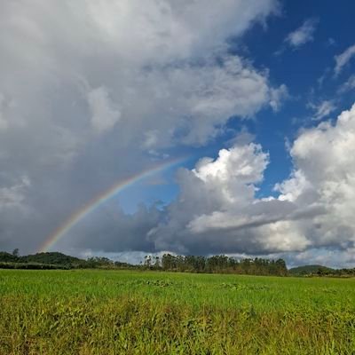 peralta_047's profile picture. 