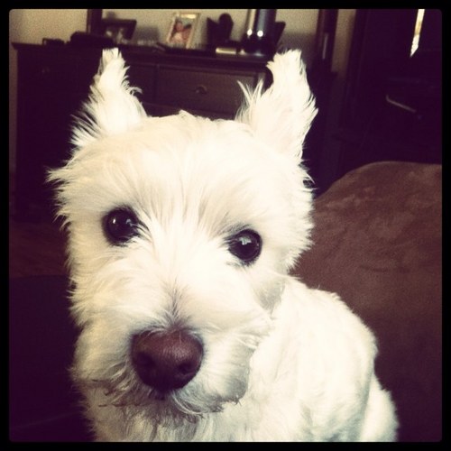 sloopjasonb's profile picture. Songwriter for @expclub