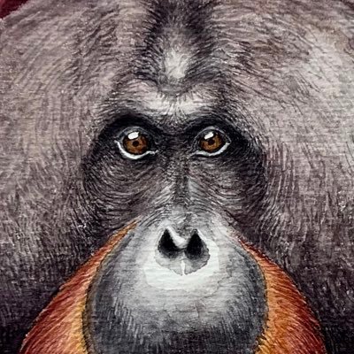 あむ🦧ドは動物のド Profile