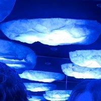 おりゅう (@mahi_mahi_np) 's Twitter Profile