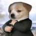 dogie business (np) (@baitha_parinda) Twitter profile photo dogie business (np) (@baitha_parinda) Twitter profile photo
