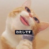 りすちゃん (@lisu_squirrel2) 's Twitter Profile