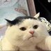 54666645 (@wo4666645) Twitter profile photo