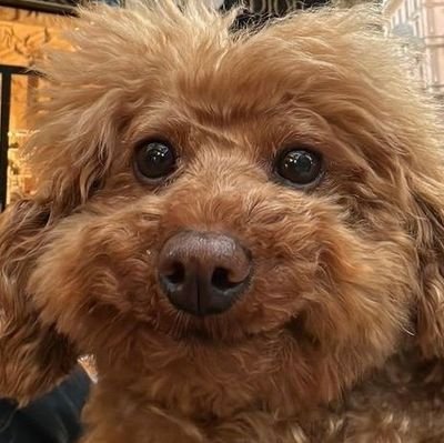 paaula_t91's profile picture. and you burn so bright you can blind somebody