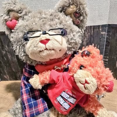 ふじねこ💔💙💛💜🧡🩷💚さんのプロフィール画像