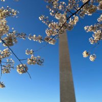 Veer (@veeringwindswx) 's Twitter Profile Photo