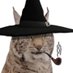 LYNX WIZARD (@euruskan) Twitter profile photo LYNX WIZARD (@euruskan) Twitter profile photo