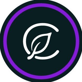 curaleafct's profile picture. Curaleaf is one of just four cannabis producers in CT. Our mission is to produce pharmaceutical grade, standardized medical cannabis. Instagram - curaleafct