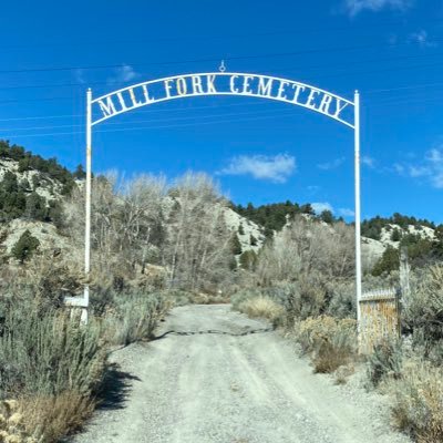 DanSulliFan's profile picture. Beer & Axes