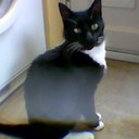 Daniel Collyer - @CollyerDan - Twitter