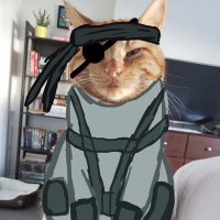 Metal Gwer Solide (@hainedeshaches) 's Twitter Profile