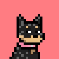 Geno (@genometax) 's Twitter Profile
