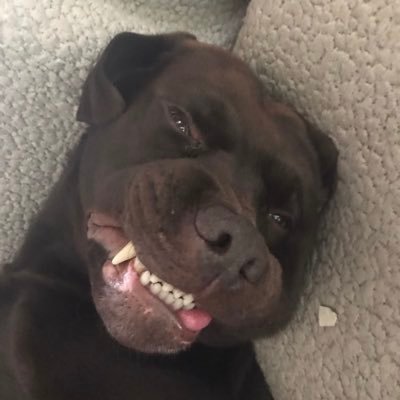 mparkinson123's profile picture. 🦏🦓🌻🌵