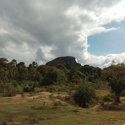 fuku_ruh's profile picture. 
