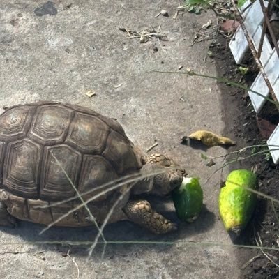 Sogutierrez91's profile picture. 