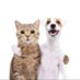 bibi (@ifwpersians) Twitter profile photo bibi (@ifwpersians) Twitter profile photo