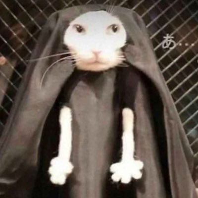 Swiftさんのプロフィール画像