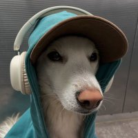 JustDara (@dar99551) 's Twitter Profile Photo JustDara (@dar99551) 's Twitter Profile Photo