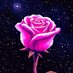 Celestial Rose (@rose__celestial) Twitter profile photo Celestial Rose (@rose__celestial) Twitter profile photo