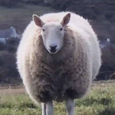 iandavison9's profile picture. I am not the father of Lauren Southern's child!