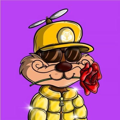 FULDZN's profile picture. 🇩🇪  div 2 🎯